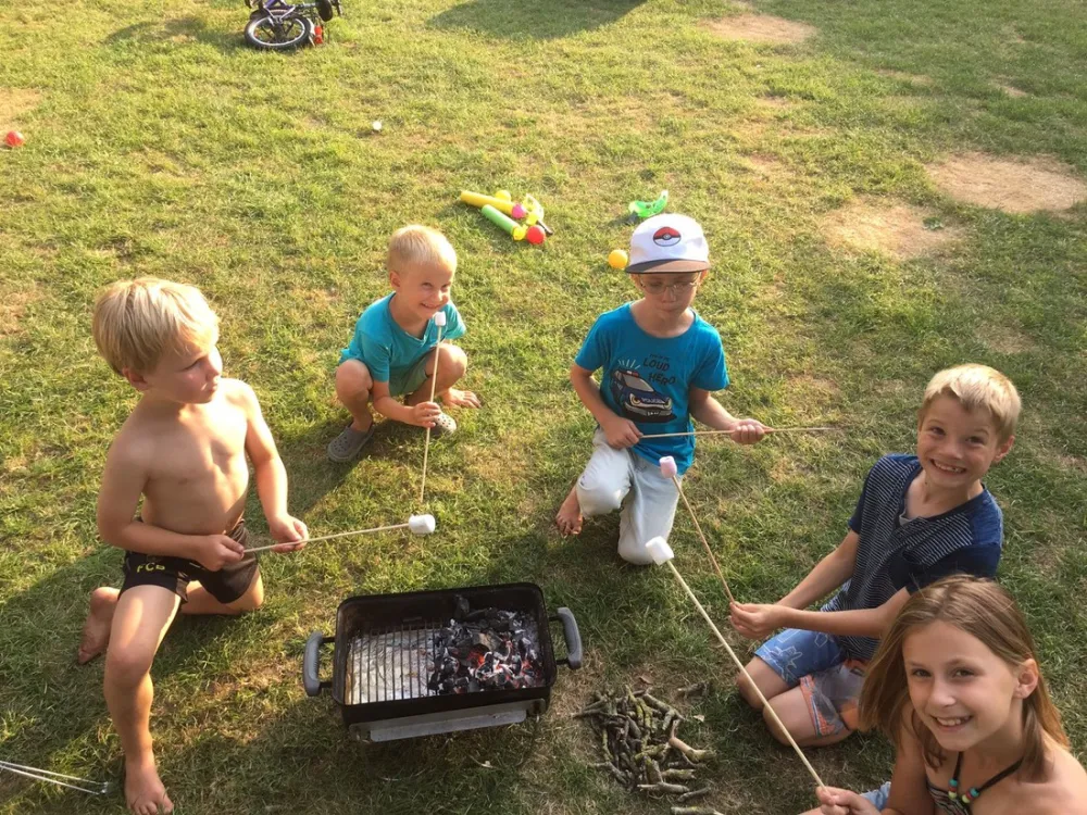 Minicamping Westerwijk