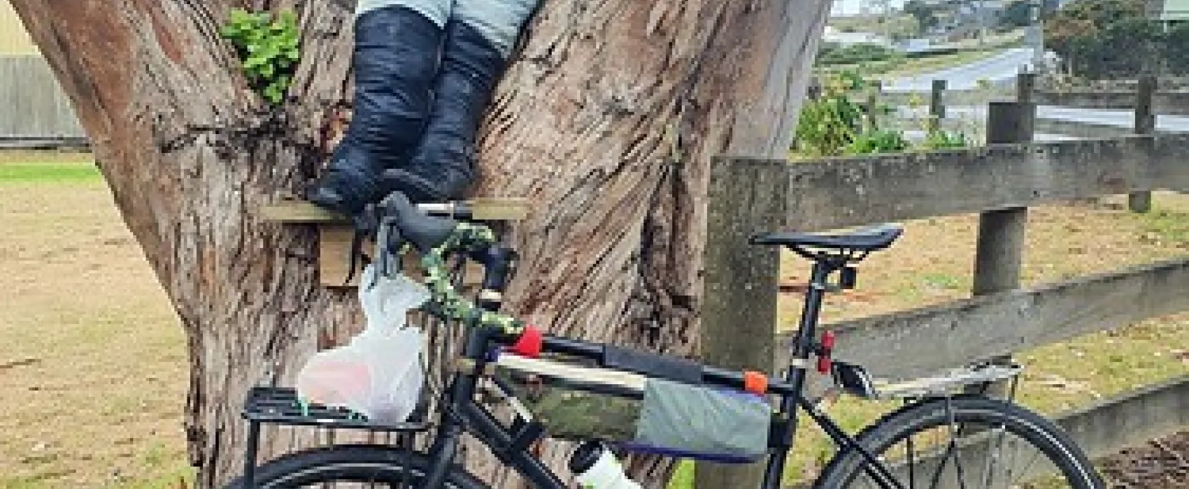 Stanley - The Nut Campground