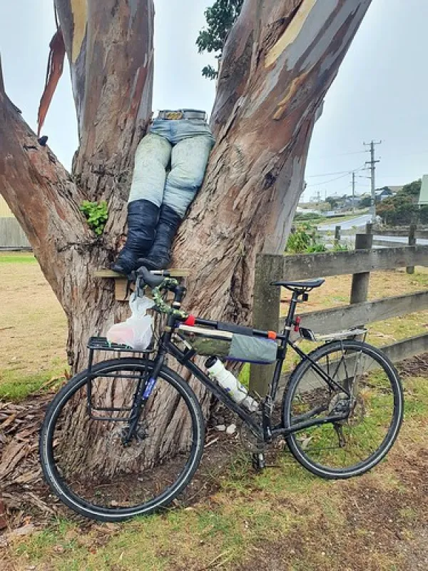 Stanley - The Nut Campground