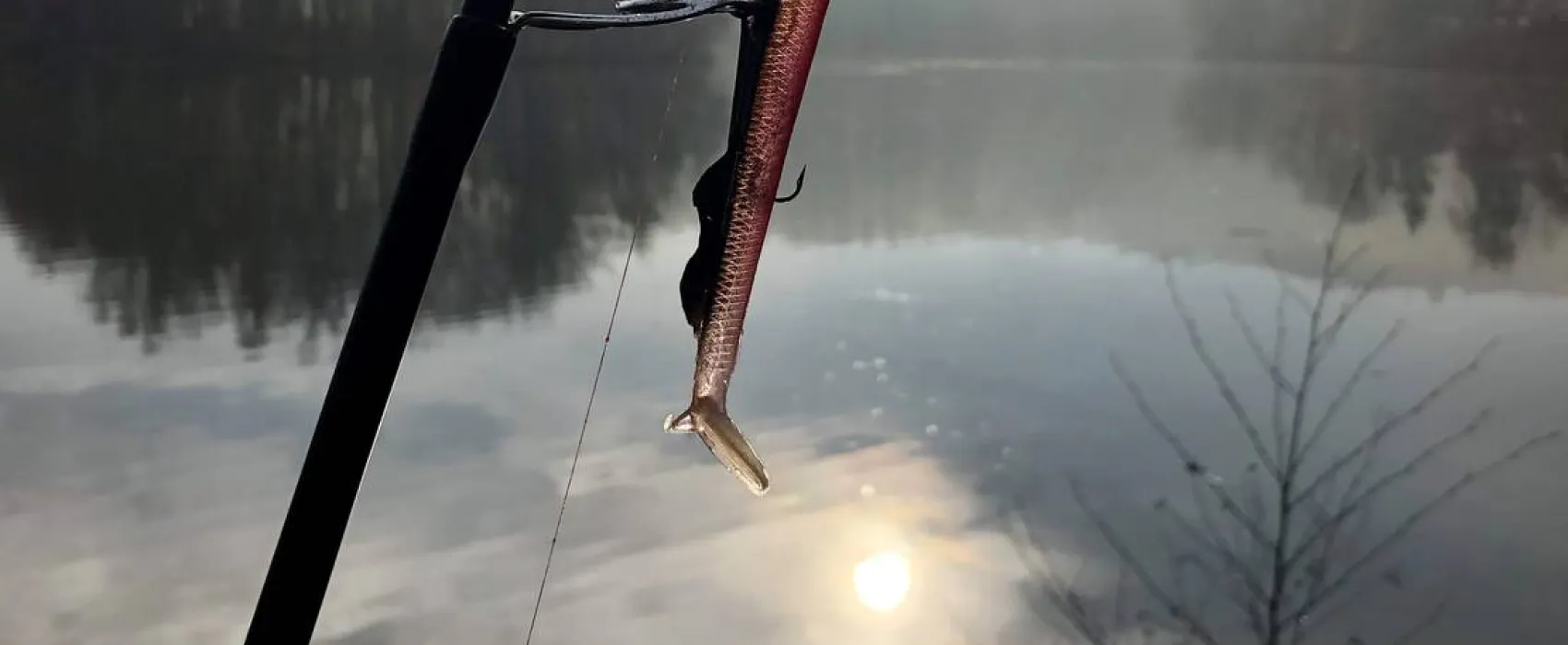 Naturcampingplatz Weida