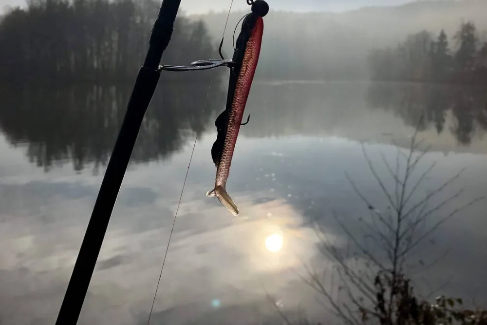 Naturcampingplatz Weida