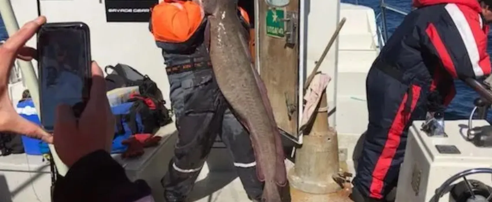 Stortjønna Bobilplass