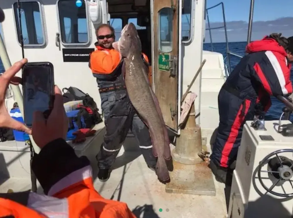 Stortjønna Bobilplass