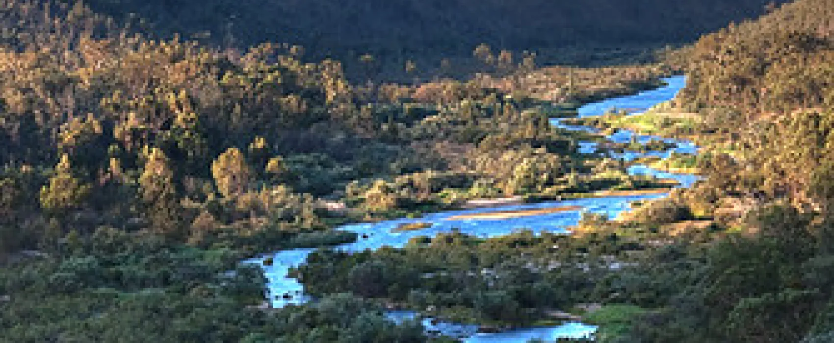 Pinch River Campground