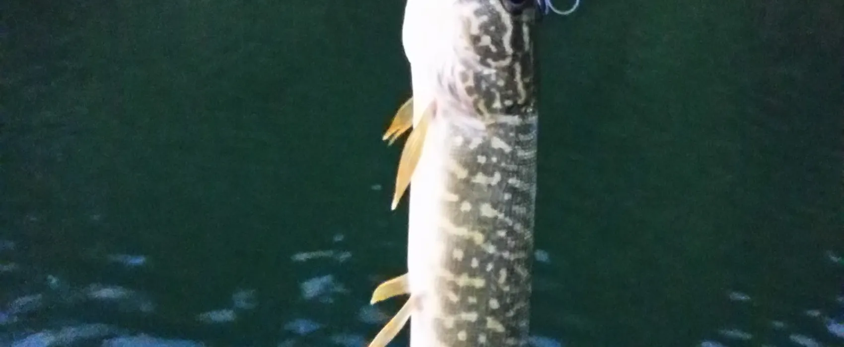 Coon's Deep Lake Campground