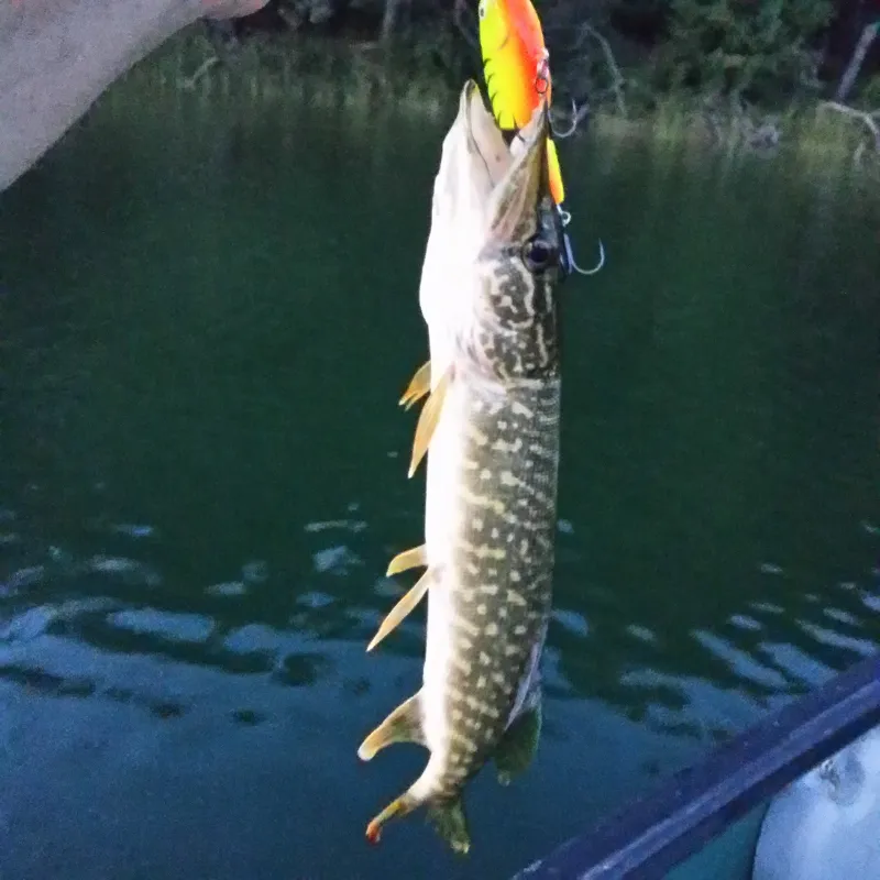 Coon's Deep Lake Campground