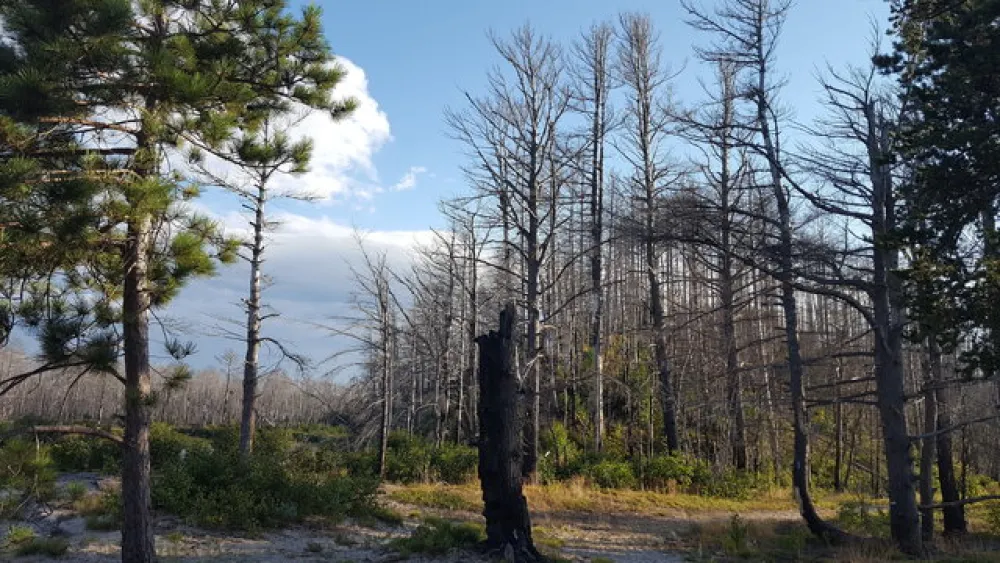 Mouth of Two Hearted River State Forest Campground