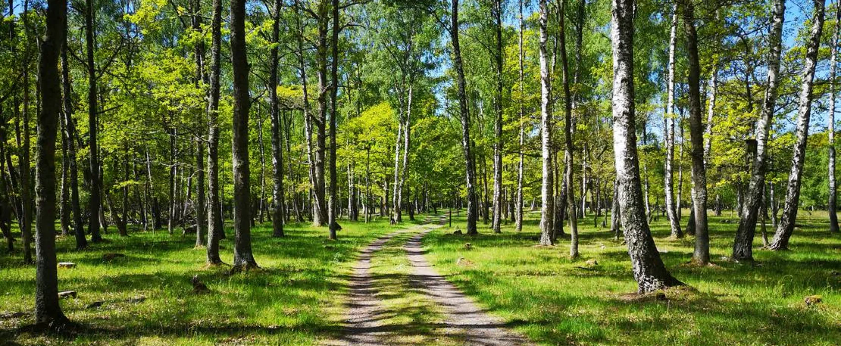 Ottenby Vandrarhem och Camping