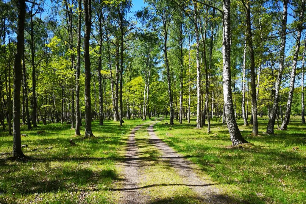 Ottenby Vandrarhem och Camping