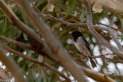 Mount Terrick Terrick Campground photo 5