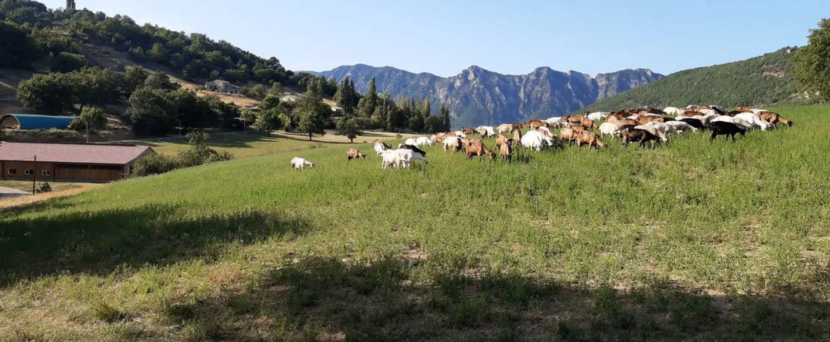 Camping à la Ferme de Grange Neuve