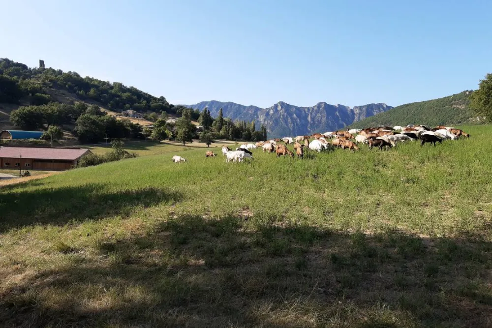 Camping à la Ferme de Grange Neuve