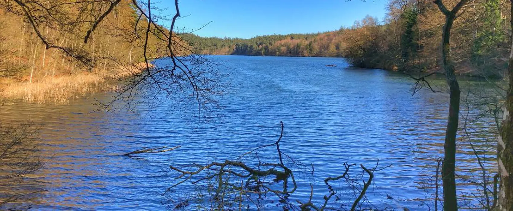 Skyttehusets Camping & Café