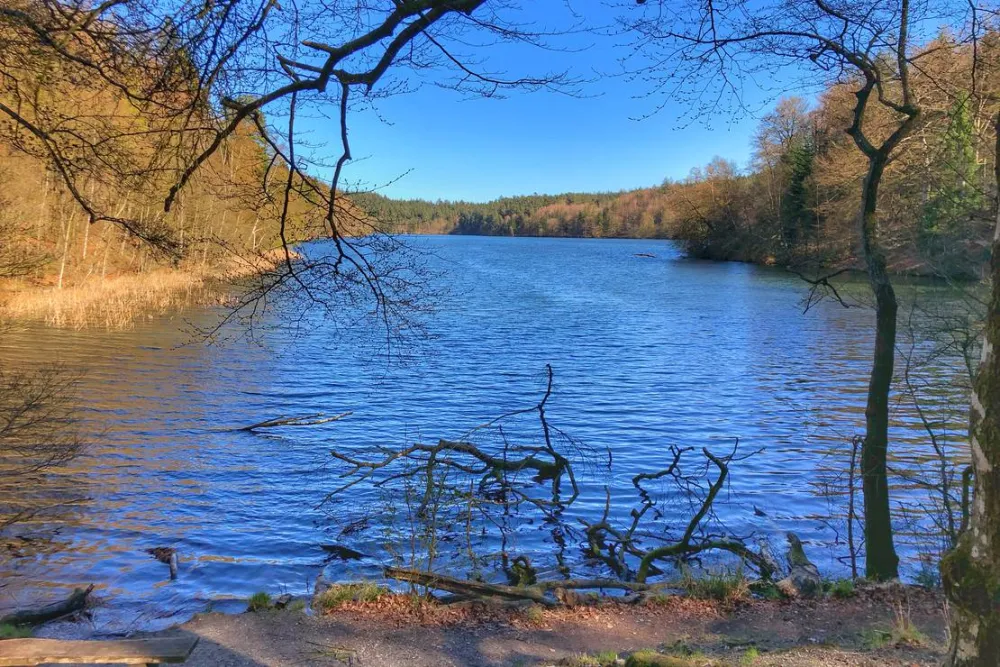 Skyttehusets Camping & Café