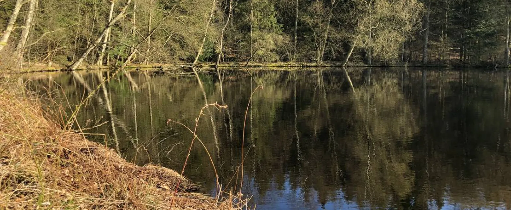 Skyttehusets Camping & Café