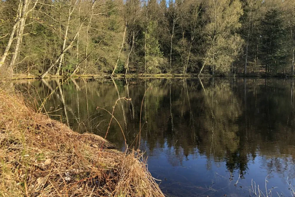 Skyttehusets Camping & Café