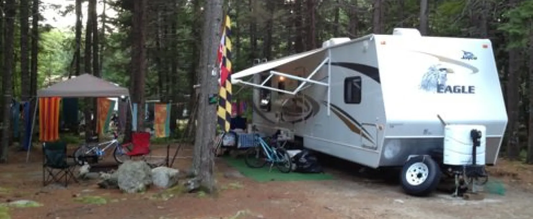 Sherwood Forest Campsite & Cabins