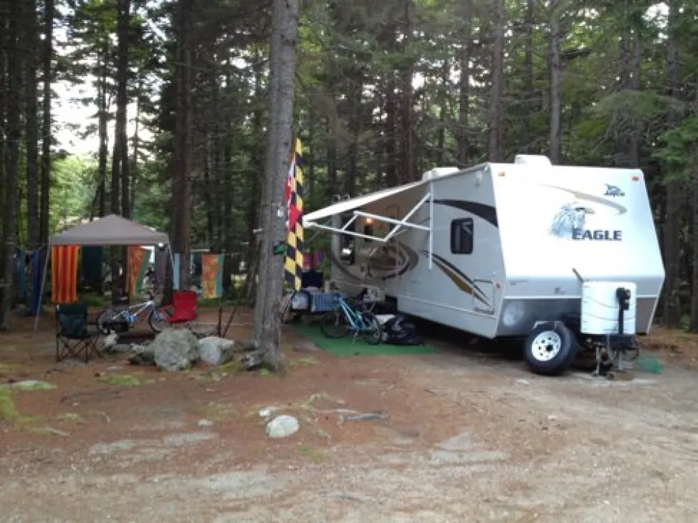 Sherwood Forest Campsite & Cabins