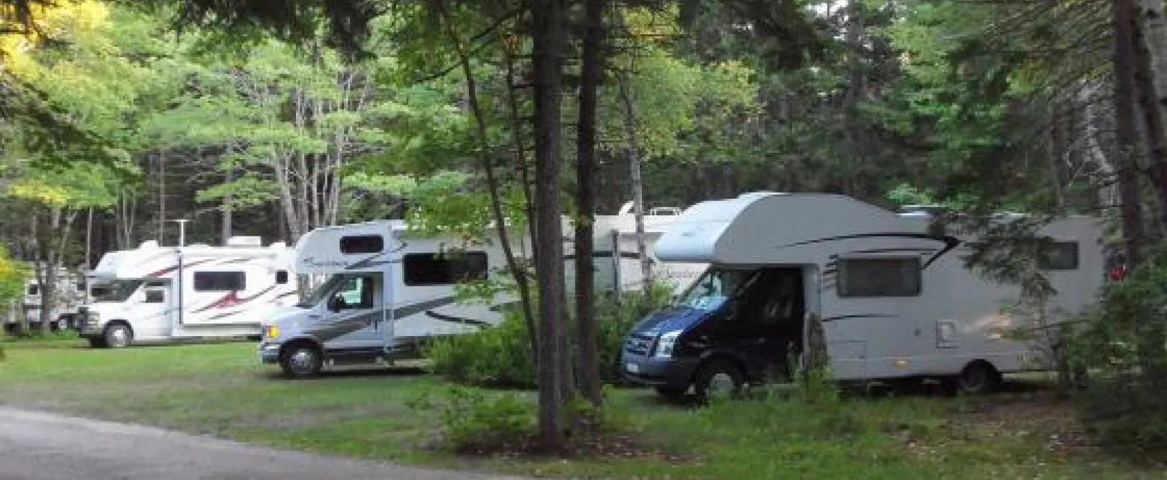 Sherwood Forest Campsite & Cabins