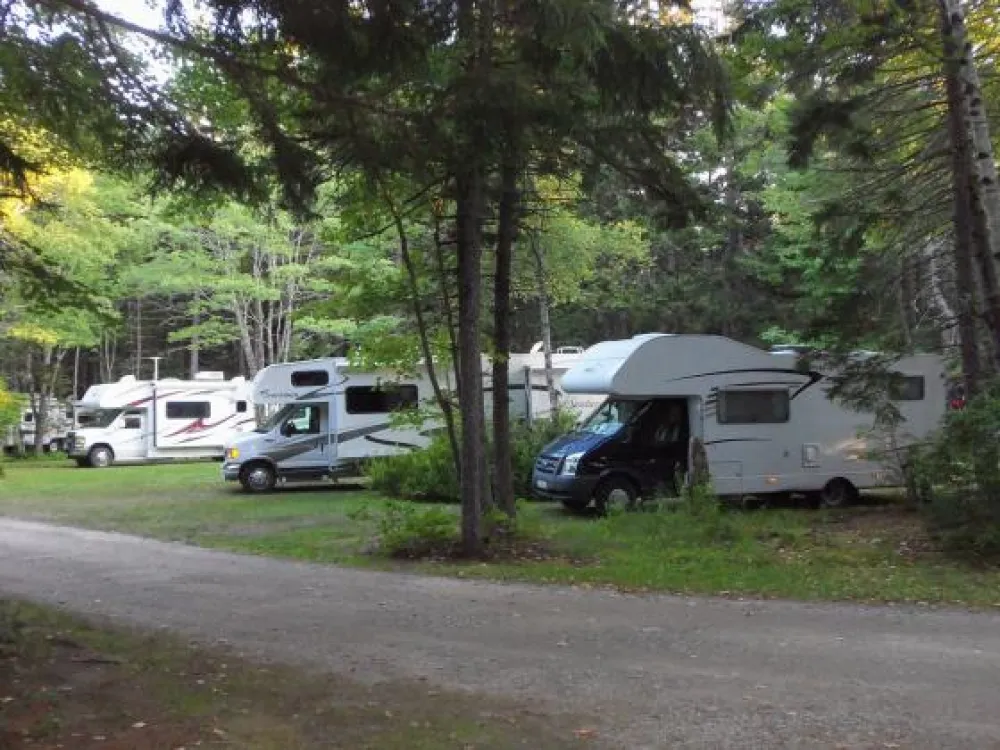 Sherwood Forest Campsite & Cabins