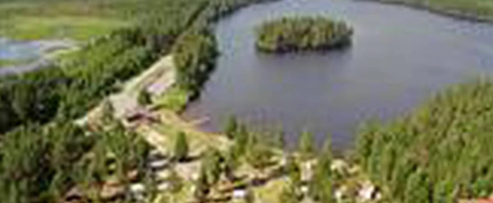 Medskogssjöns Camping & Restaurang