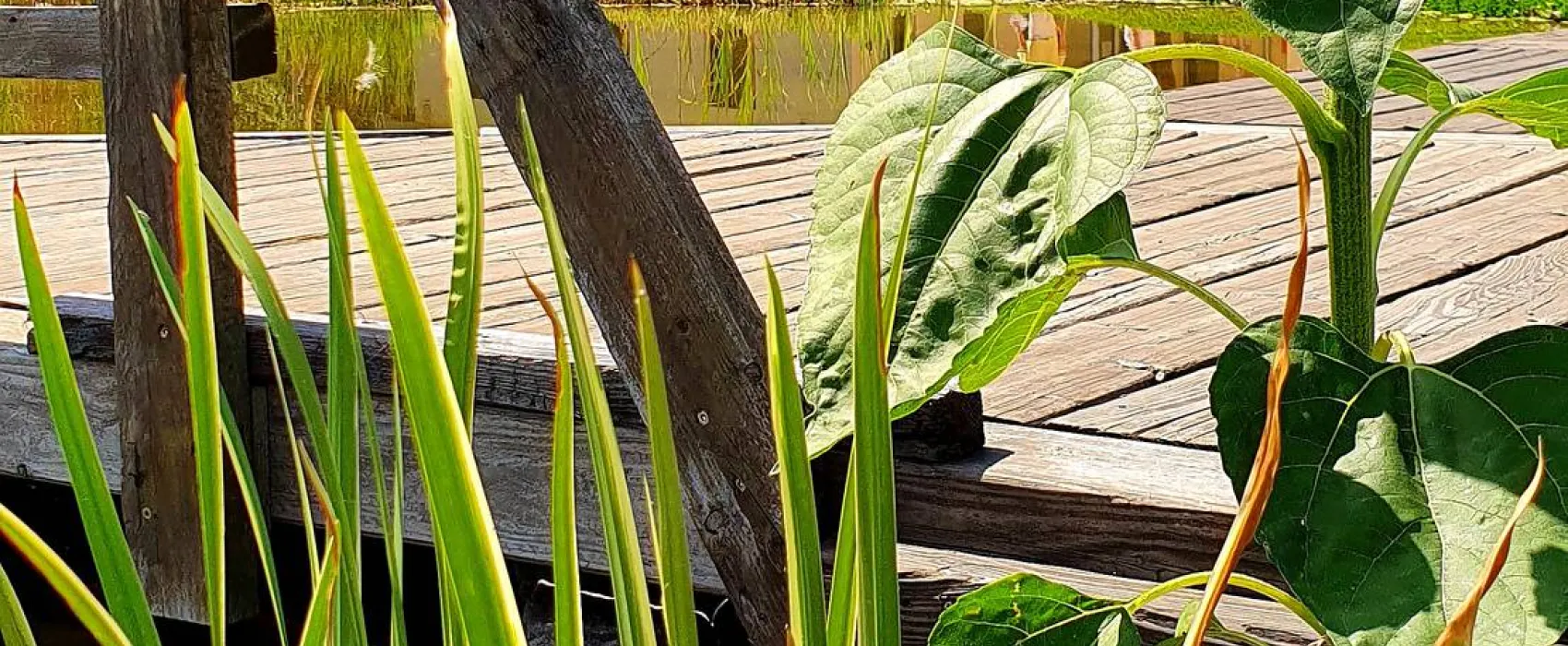 Stadtmarina Brandenburg