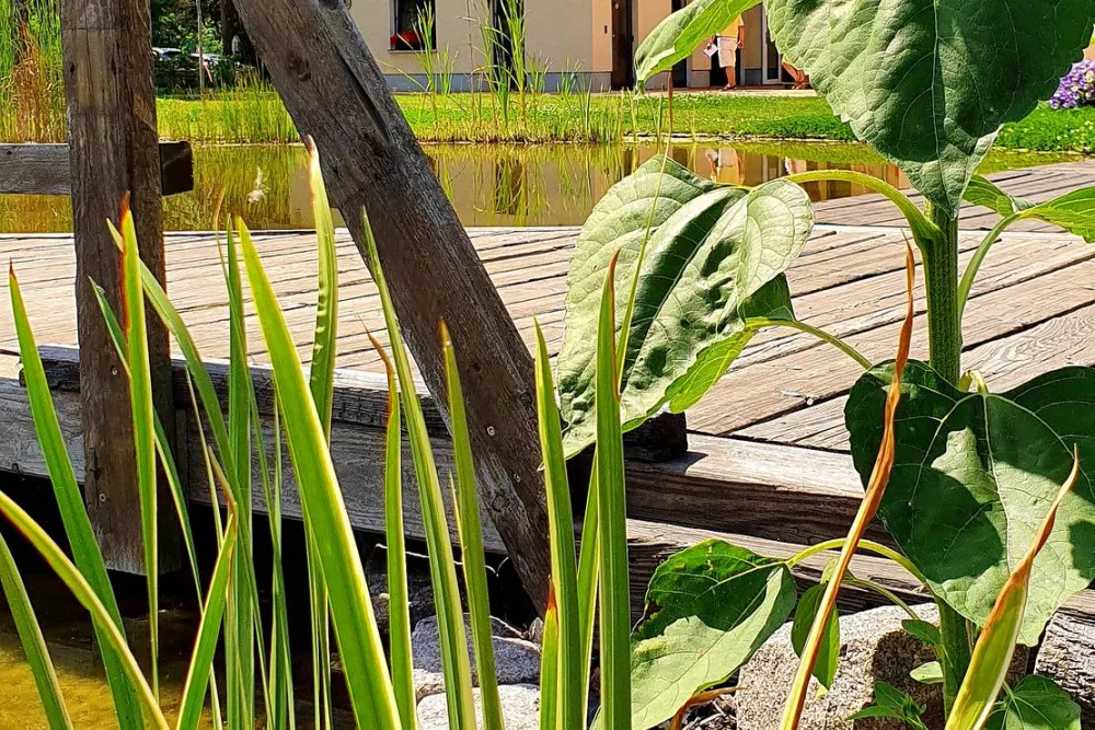 Stadtmarina Brandenburg