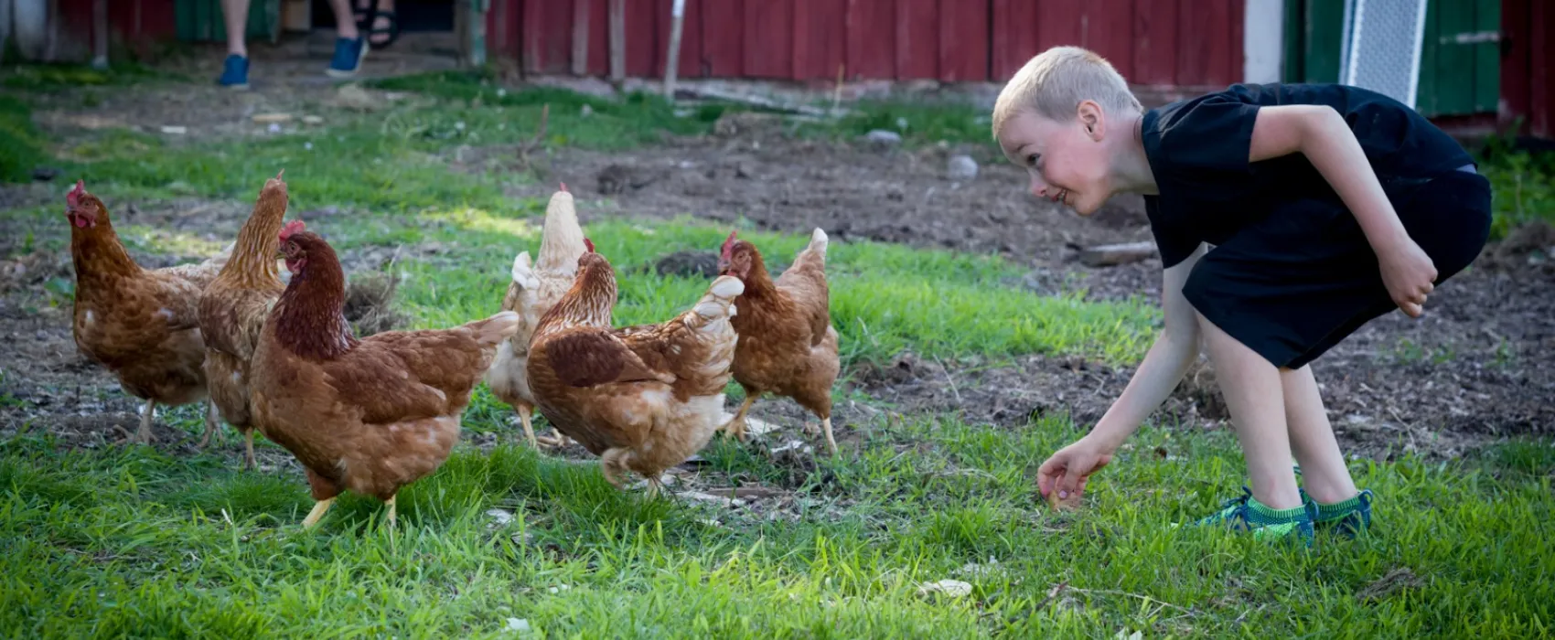 Prästgården Annerstad