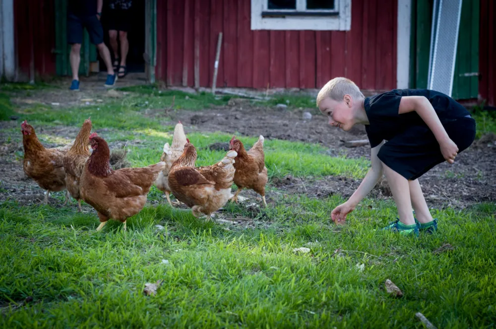 Prästgården Annerstad