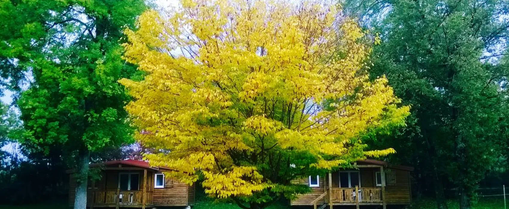 Camping Municipal la duzonne