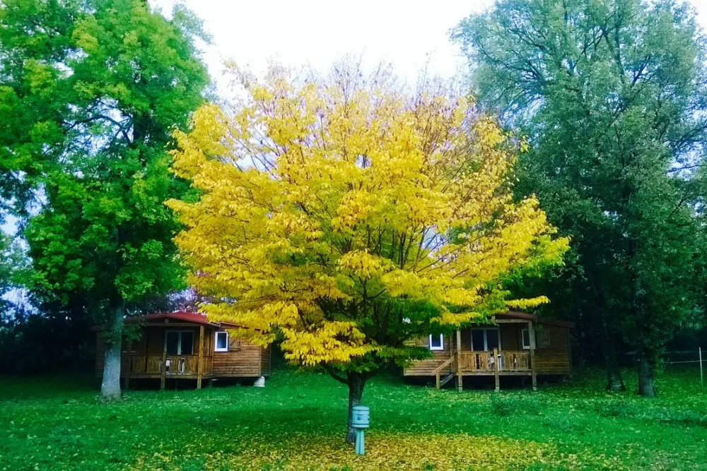 Camping Municipal la duzonne