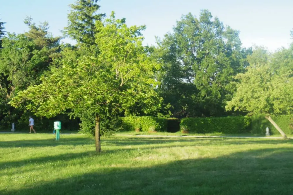 Camping Domaine Du Grand Bois