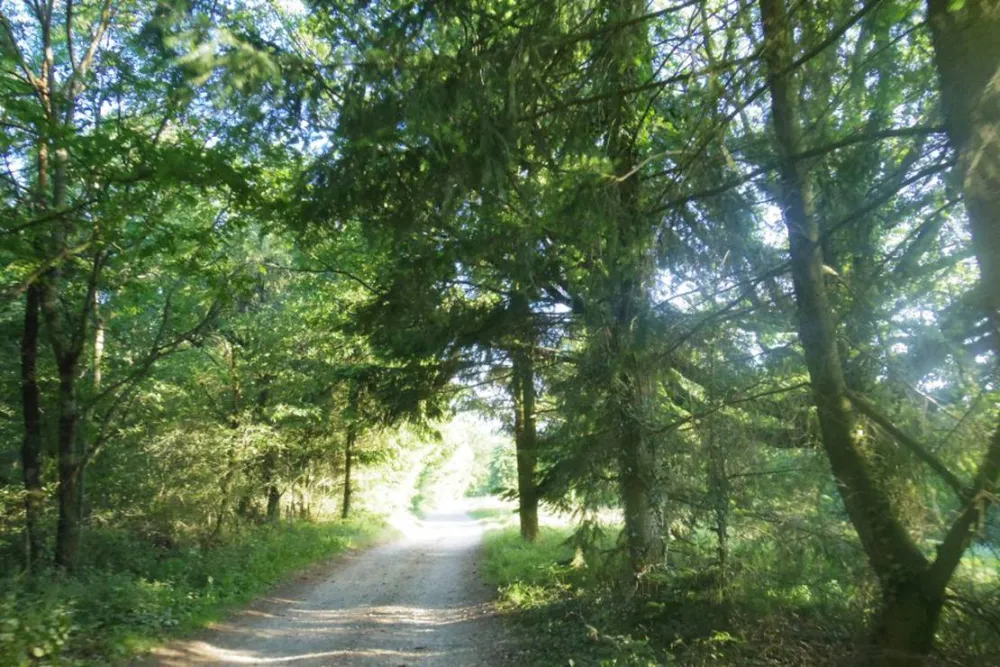 Camping Domaine Du Grand Bois