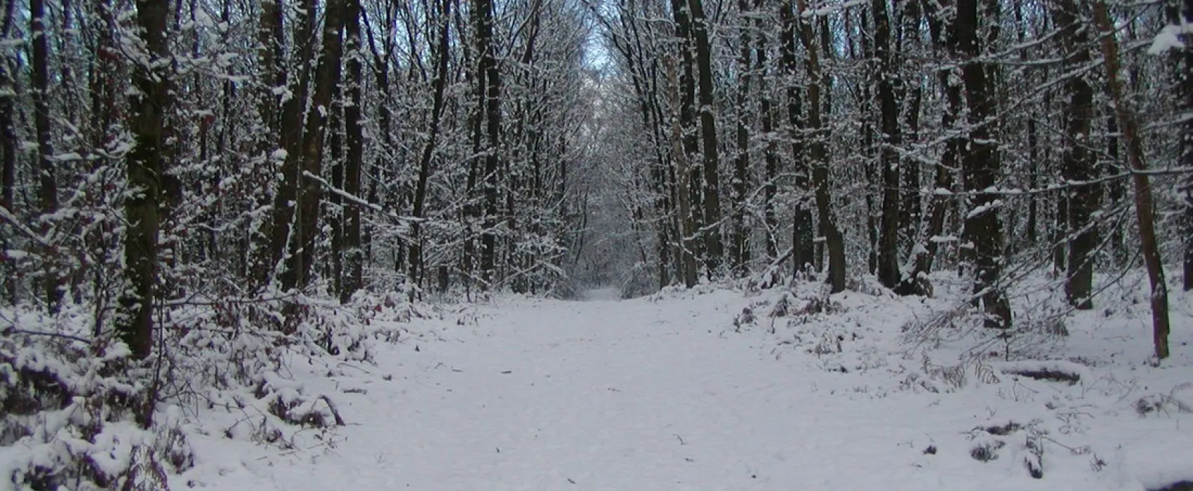 Bospark de Tonnenberg