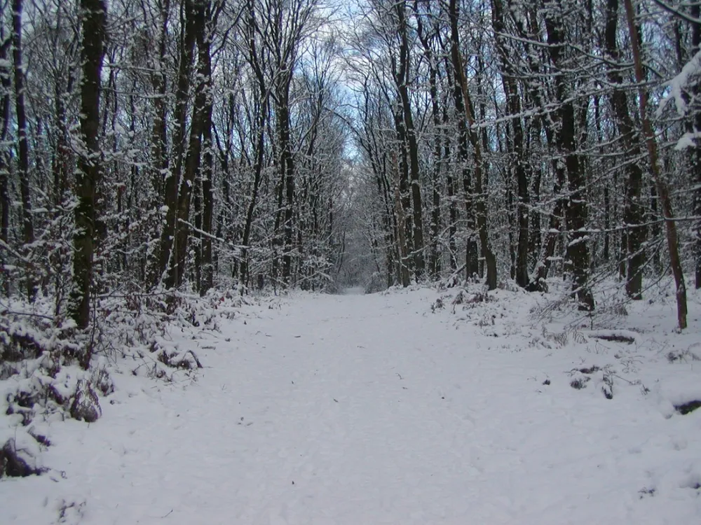 Bospark de Tonnenberg