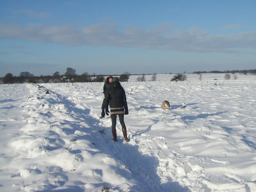 Bospark de Tonnenberg