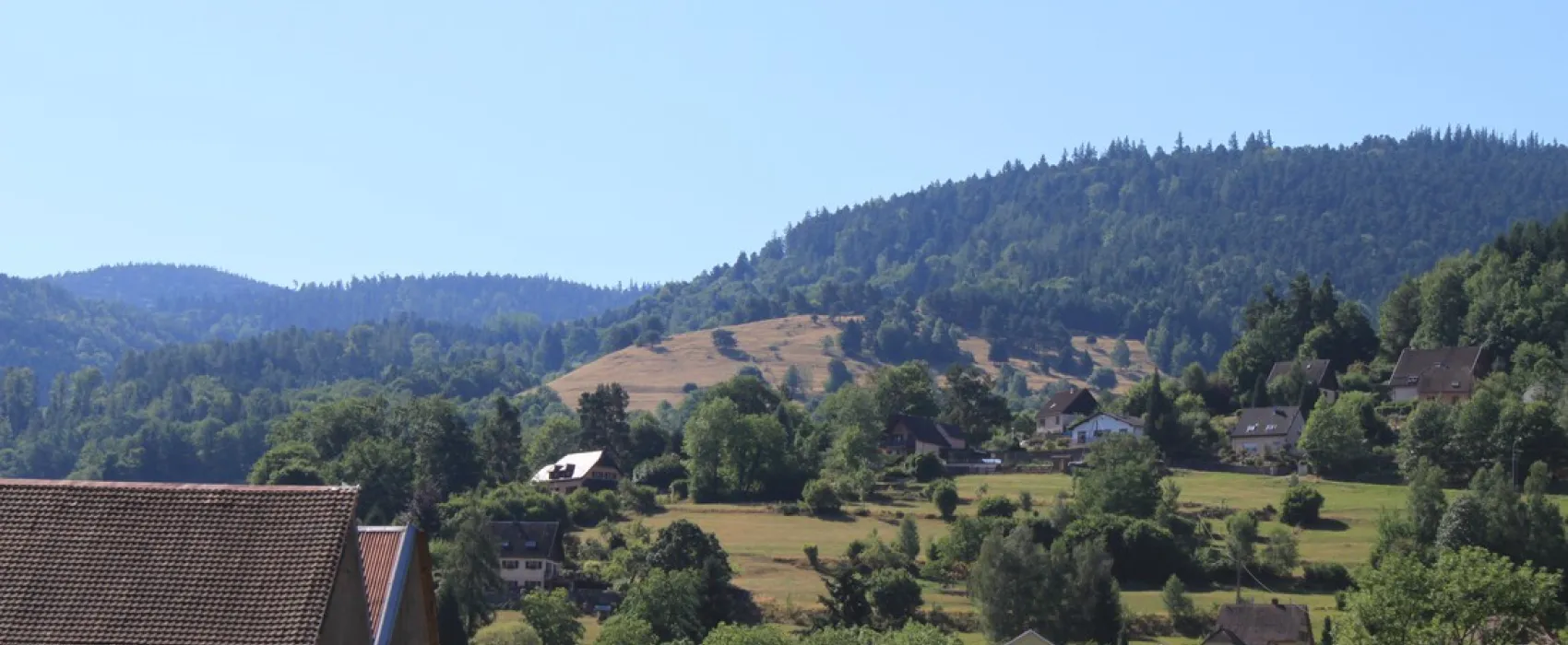 Municipal du Langenwasen