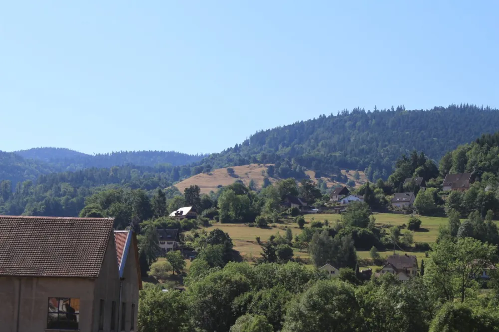 Municipal du Langenwasen