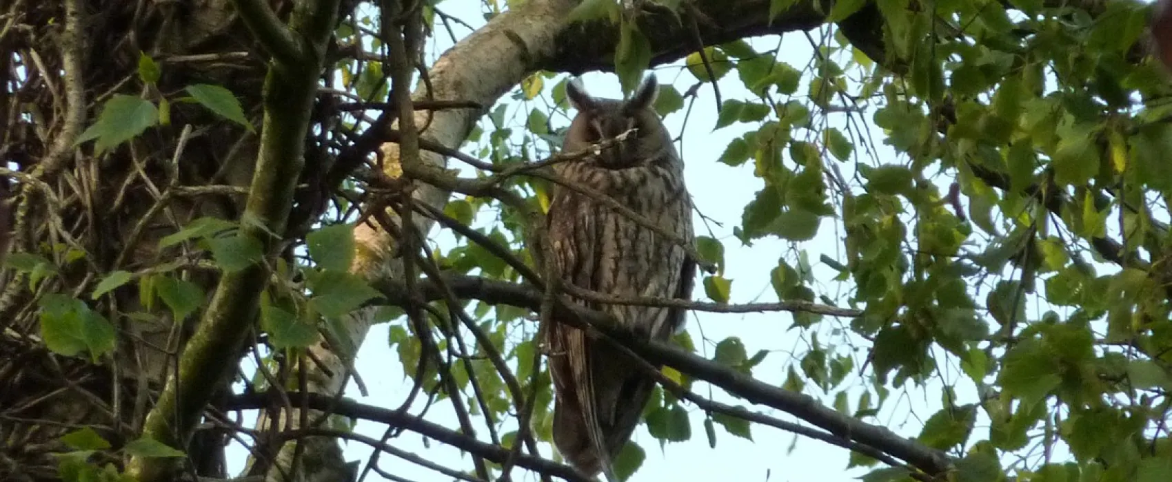 Landschapscamping Kruytenburg