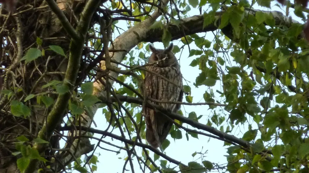 Landschapscamping Kruytenburg