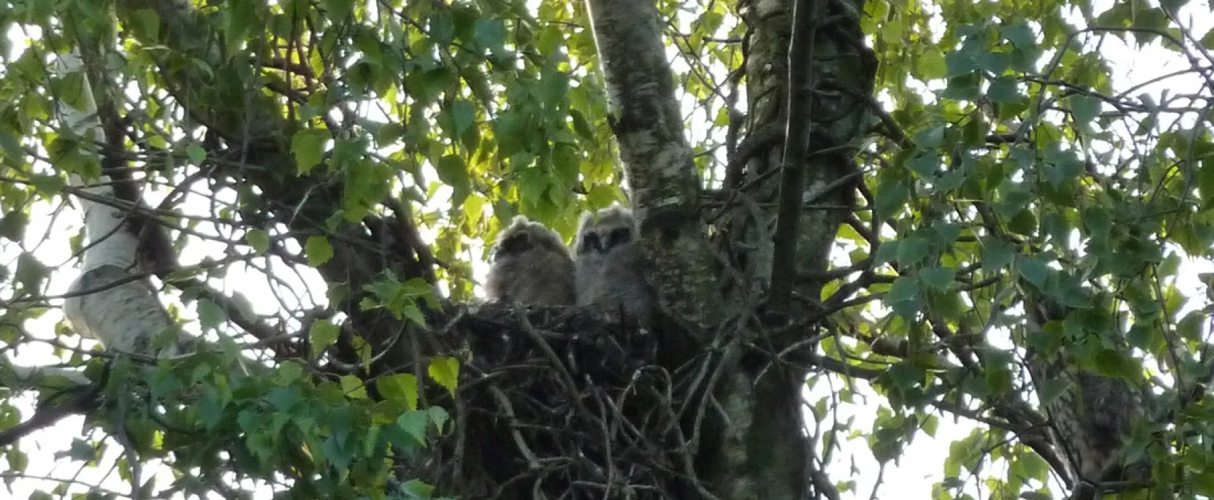 Landschapscamping Kruytenburg