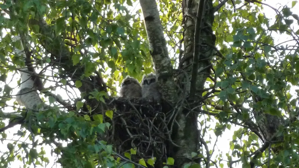 Landschapscamping Kruytenburg