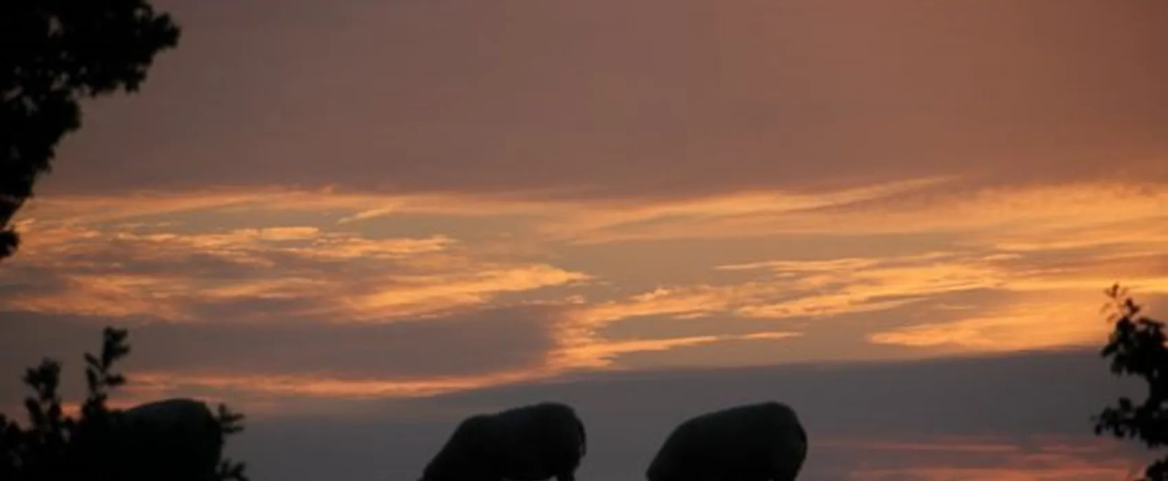 Landschapscamping Kruytenburg