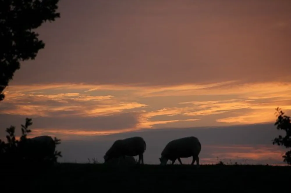 Landschapscamping Kruytenburg