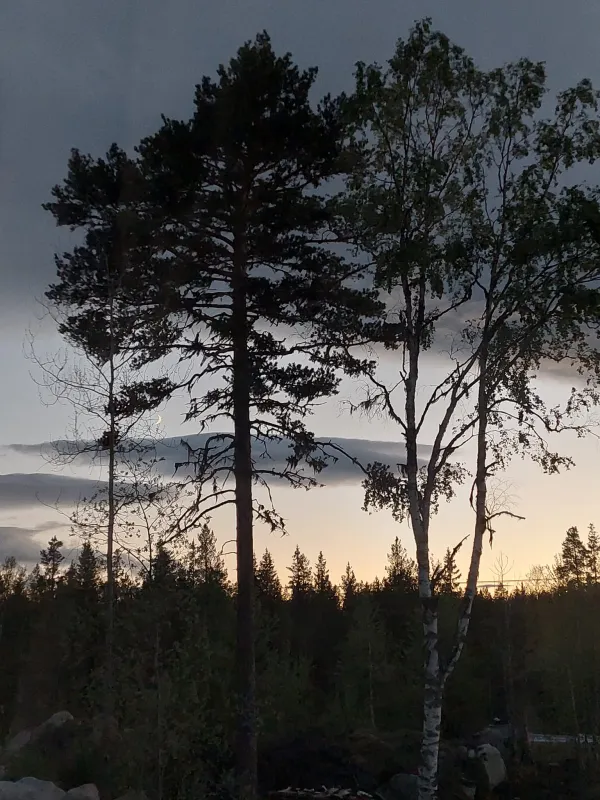 Nederhögen Vildmarkscenter Camping