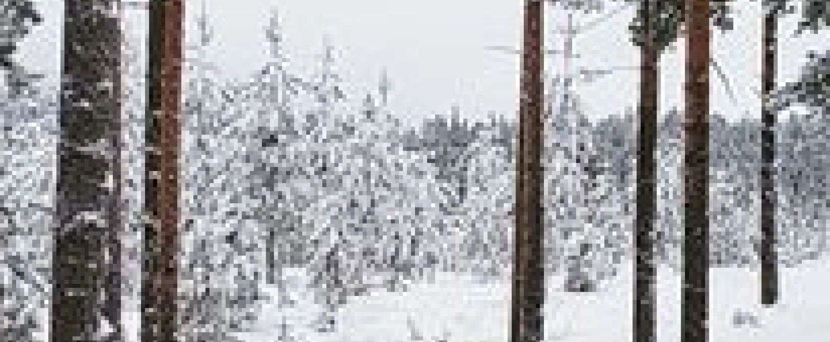 Nederhögen Vildmarkscenter Camping