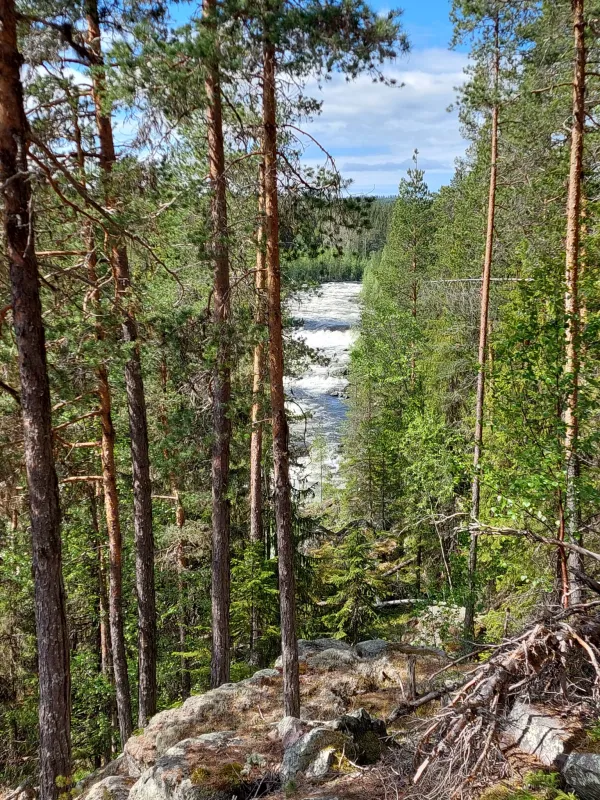 Nederhögen Vildmarkscenter Camping