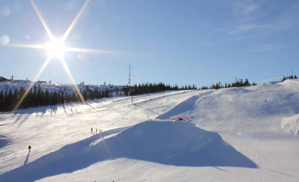 Nederhögen Vildmarkscenter Camping