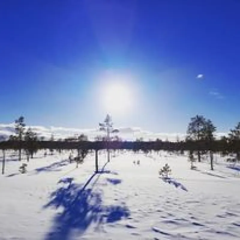Nederhögen Vildmarkscenter Camping