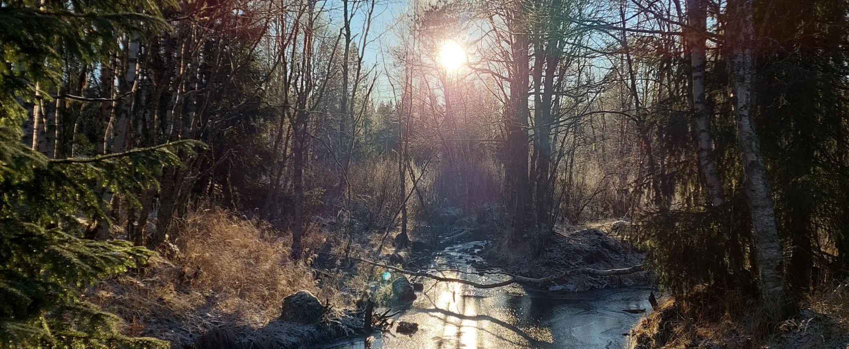 Nederhögen Vildmarkscenter Camping